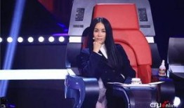 最新爆料那英过往视频,揭秘歌手背后的故事与争议